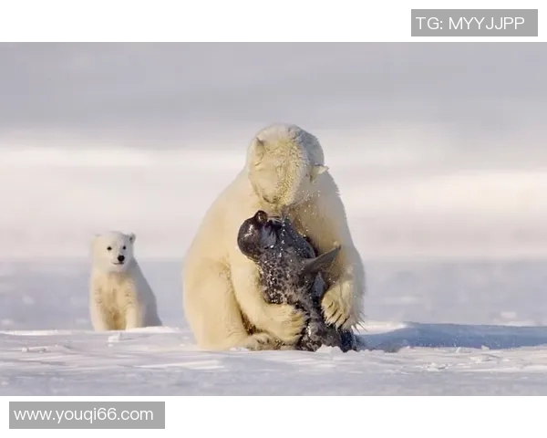 灰熊的生存智慧与生态影响探秘：从栖息地到食物链的全面分析