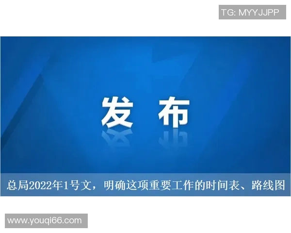 名人堂：探索伟大成就背后的故事与荣耀历程