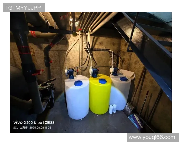 泳池清洁与维护全攻略提升水质与延长设备使用寿命的方法