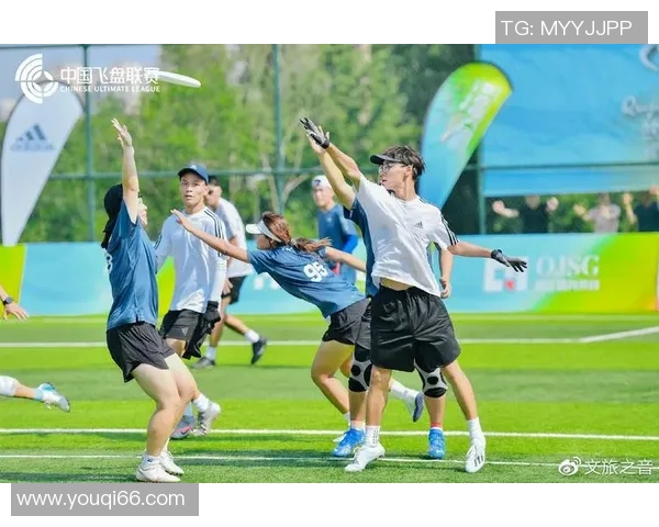 西安飞盘队运营分析：成功经验与面临挑战的深度探讨